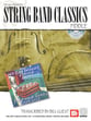 STRING BAND CLASSICS FIDDLE BK/CD cover